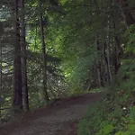 Haus Wastl Russbach am Pass Gschütt