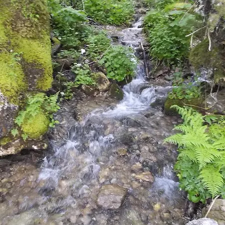 דירה Haus Wastl רוסבאך אם פס גשוט