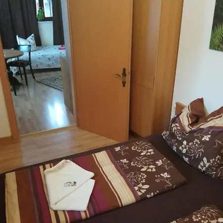 Appartement Haus Wastl Russbach am Pass Gschütt