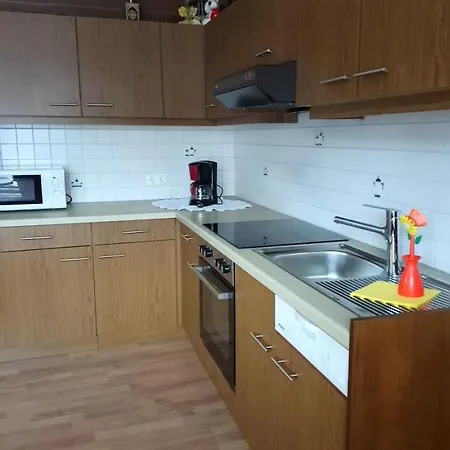 Apartment Haus Wastl Russbach am Pass Gschuett