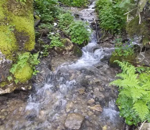 Διαμέρισμα Haus Wastl Russbach am Pass Gschutt