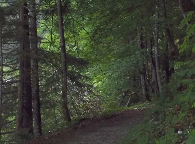 Haus Wastl Russbach am Pass Gschutt